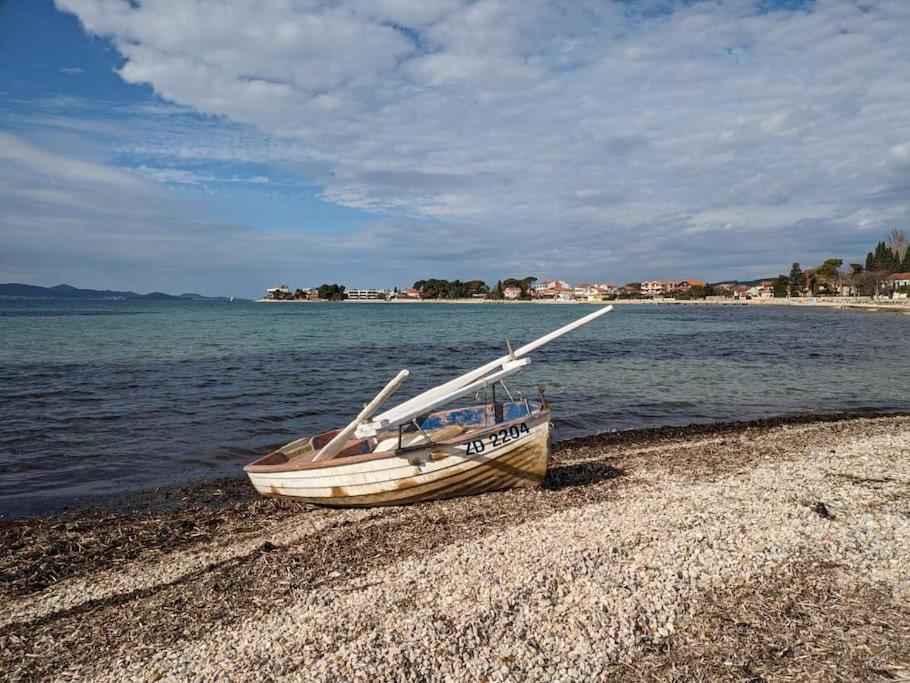 Seaside Serenity Rose Sukosan