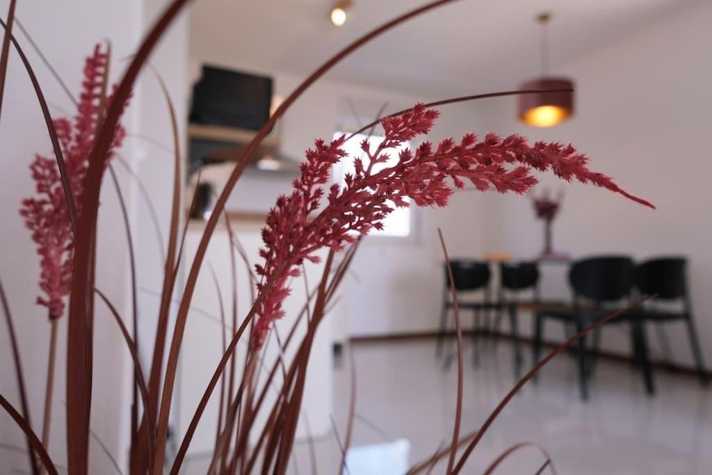 Seaside Serenity Rose Apartment *