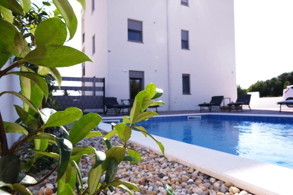 Seaside Serenity Rose Apartment